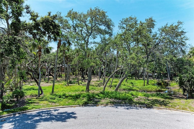 3341 Sabal Cove Pl, Longboat Key, FL 34228