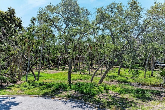 3341 Sabal Cove Pl, Longboat Key, FL 34228