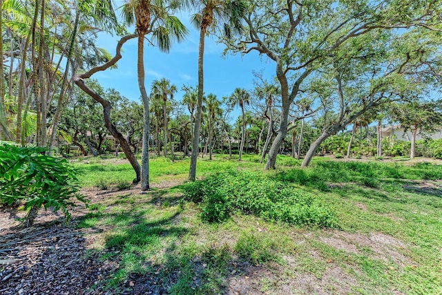 3341 Sabal Cove Pl, Longboat Key, FL 34228