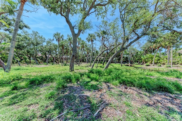 3341 Sabal Cove Pl, Longboat Key, FL 34228