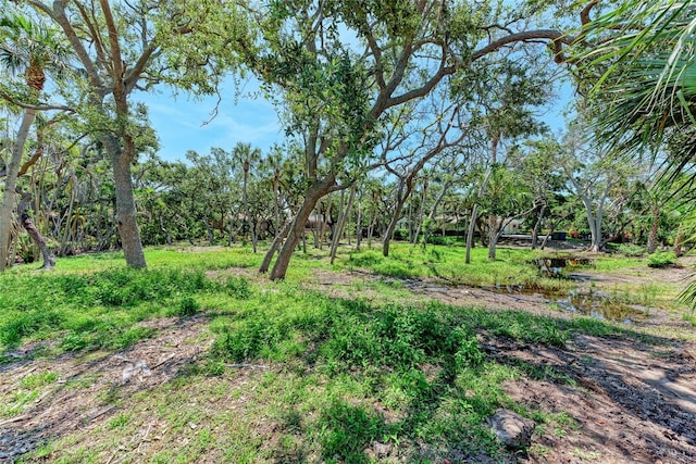 3341 Sabal Cove Pl, Longboat Key, FL 34228