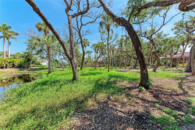 3341 Sabal Cove Pl, Longboat Key, FL 34228