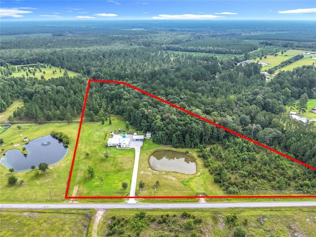 55015 Countree Life Way, Callahan, FL 32011 - photo 6