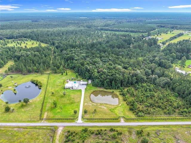 55015 Countree Life Way, Callahan, FL 32011 - photo 9