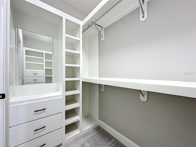 55015 Countree Life Way, Callahan, FL 32011 - photo 53
