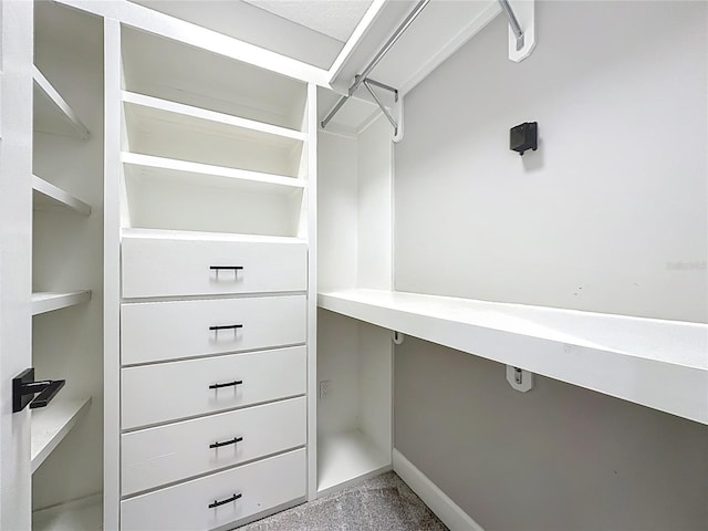 55015 Countree Life Way, Callahan, FL 32011 - photo 54