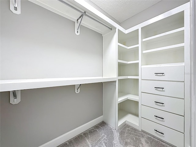 55015 Countree Life Way, Callahan, FL 32011 - photo 55