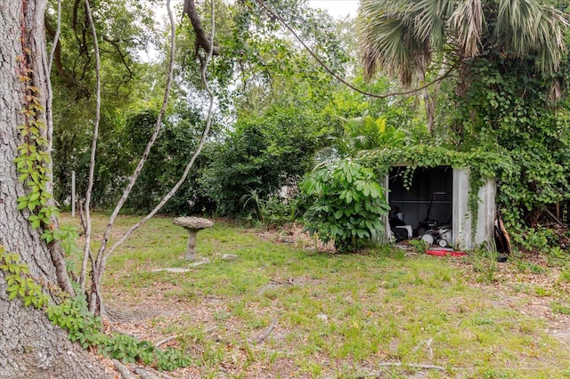 3375 7th St, Sarasota, FL 34237 - photo 38
