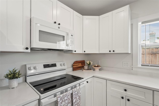 1408 17th St W, Bradenton, FL 34205 - photo 12