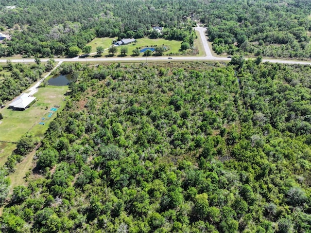 41005 11th Ave E, Myakka City, FL 34251 - photo 1