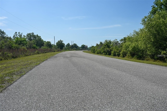 41005 11th Ave E, Myakka City, FL 34251 - photo 2