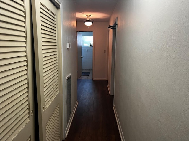 2065 Flamingo Dr, Bartow, FL 33830 - hallway with dark wood finished floors and baseboards