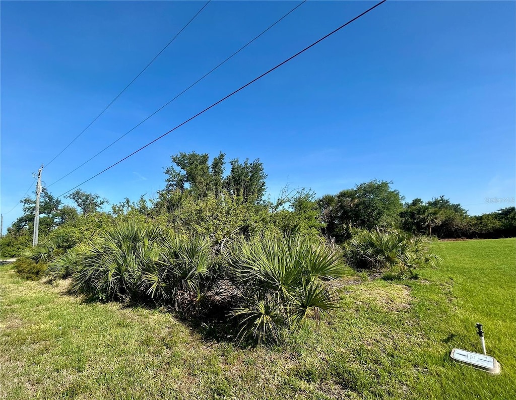 13306 High Springs Ave, Port Charlotte, FL 33981 - photo 1