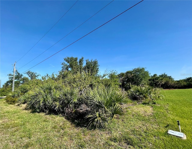 13306 High Springs Ave, Port Charlotte, FL 33981 - photo 1