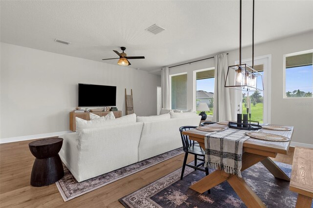 8107 Trimbelle Ter, Parrish, FL 34219 - photo 6
