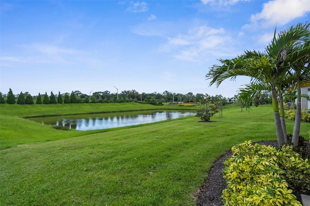 8107 Trimbelle Ter, Parrish, FL 34219 - photo 35