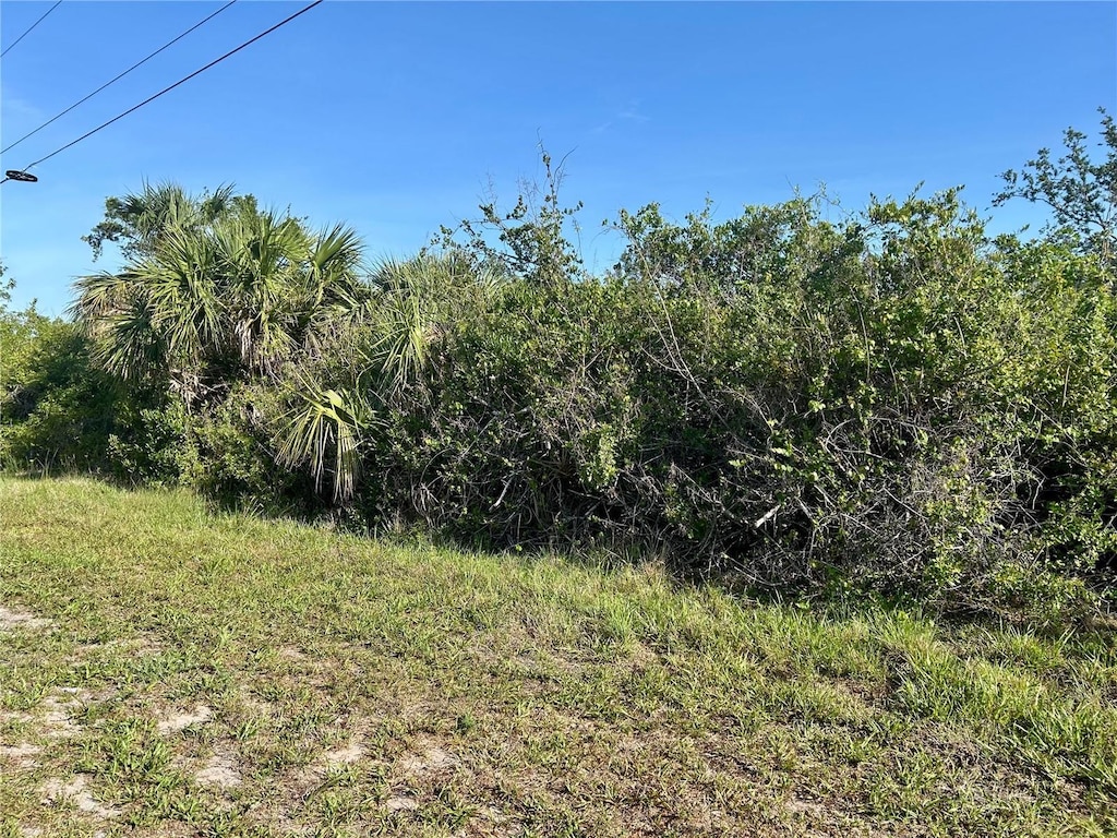 14408 Morristown Ave, Port Charlotte, FL 33981 - photo 1