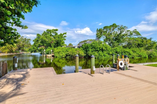 5012 Higel Ave, Sarasota, FL 34242 - photo 71