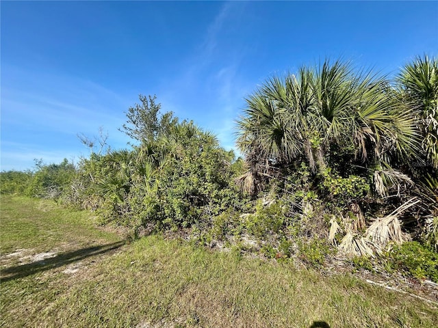 10047 Alvarez St, Port Charlotte, FL 33981 - photo 1
