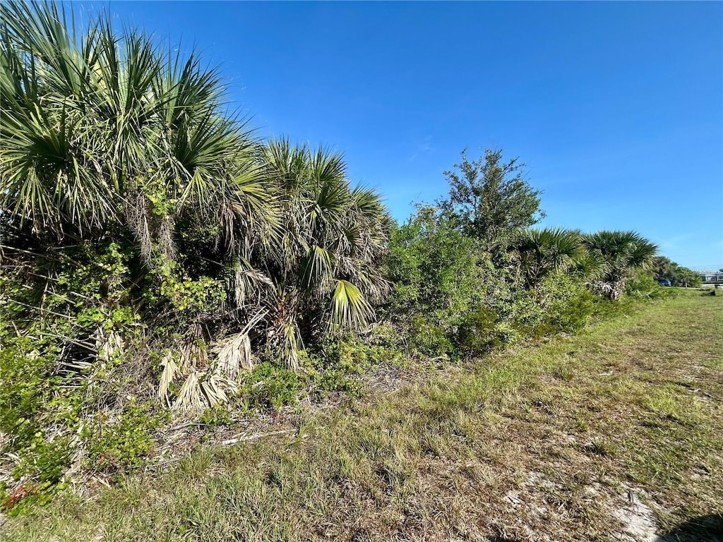 10039 Alvarez St, Port Charlotte, FL 33981 - photo 1