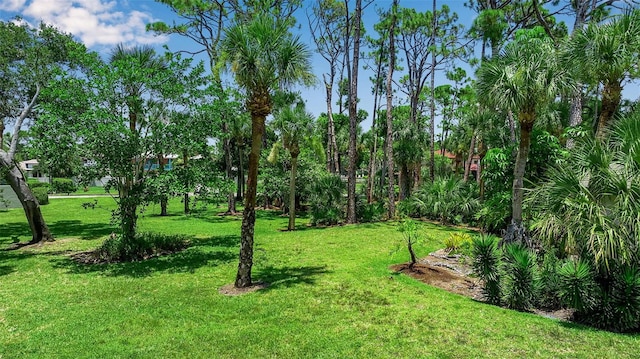 7922 Pinegrove Ct Unit 15, Sarasota, FL 34238 - photo 5