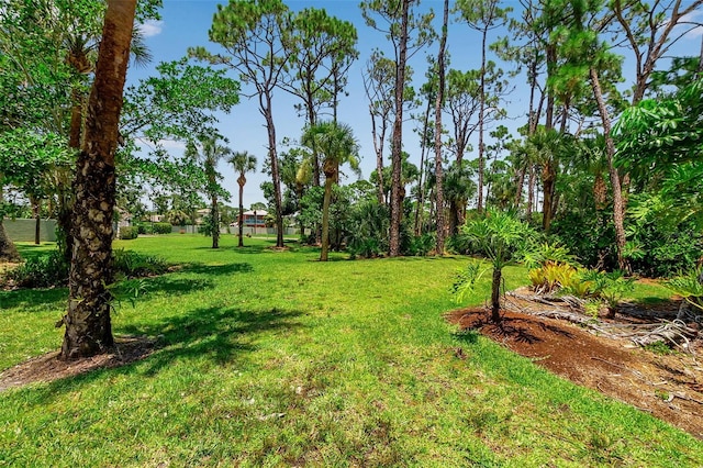 7922 Pinegrove Ct Unit 15, Sarasota, FL 34238 - photo 6