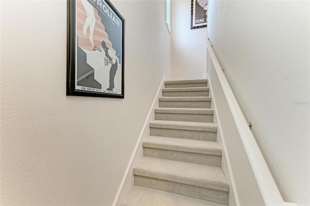 544 Fore Dr, Bradenton, FL 34208 - photo 43