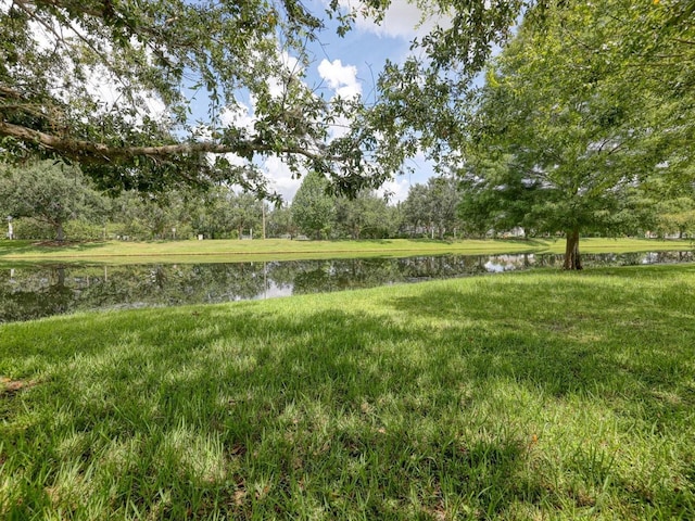 15253 Blue Fish Cir, Lakewood Ranch, FL 34202 - photo 38