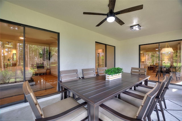 1429 Ranchero Dr, Sarasota, FL 34240 - photo 53