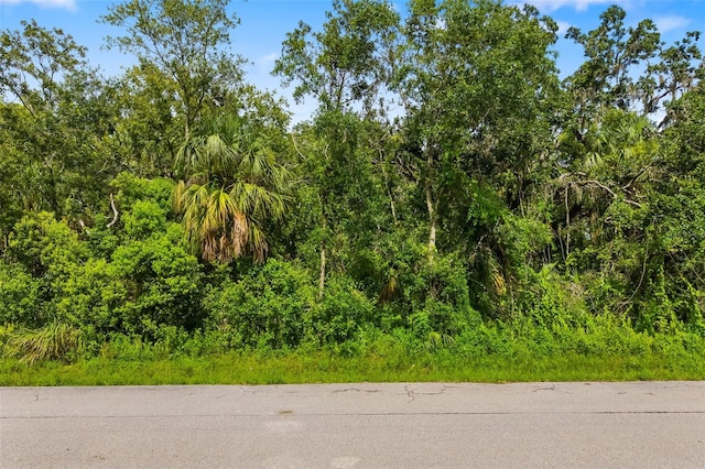 7820 120th Ave E, Parrish, FL 34219 - photo 2