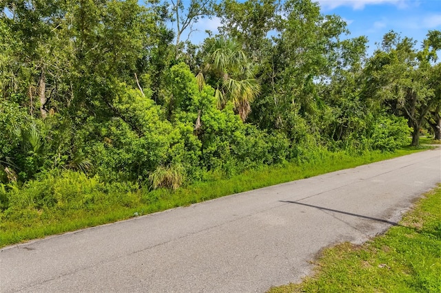 7820 120th Ave E, Parrish, FL 34219 - photo 17