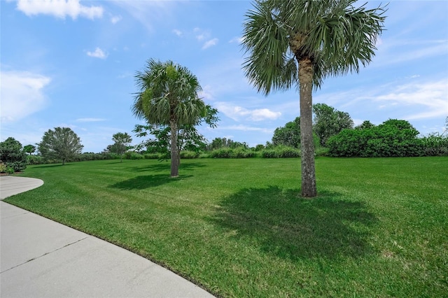 8474 Webber Rd, Sarasota, FL 34240 - photo 11