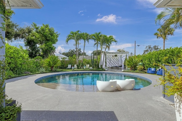 2154 Bougainvillea St, Sarasota, FL 34239 - photo 31