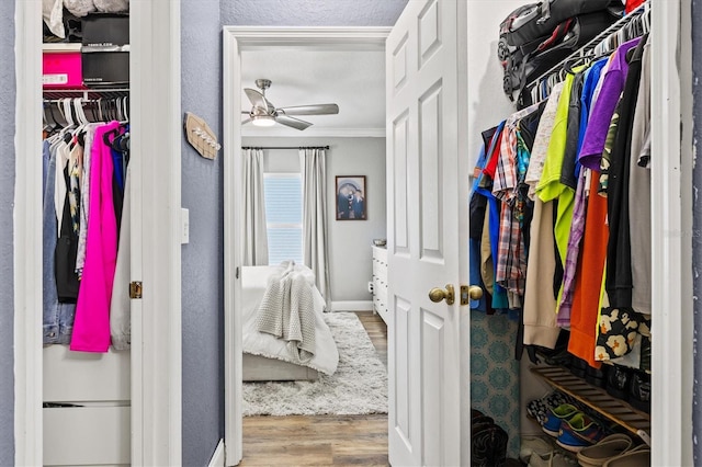 2419 29th Ave E, Palmetto, FL 34221 - view of closet