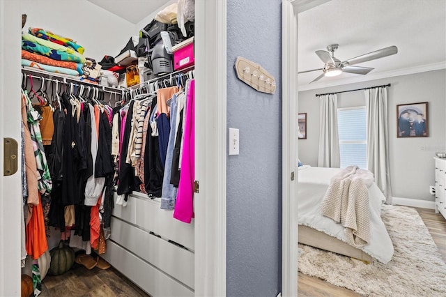 2419 29th Ave E, Palmetto, FL 34221 - spacious closet with wood finished floors and a ceiling fan