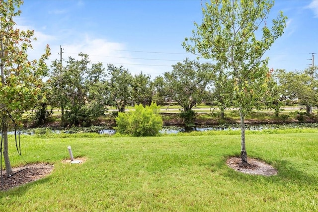 8641 Daydream St, Sarasota, FL 34238 - photo 28