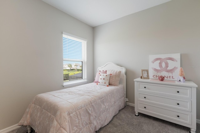 9312 Tequila Sunrise Dr, Sarasota, FL 34241 - photo 29
