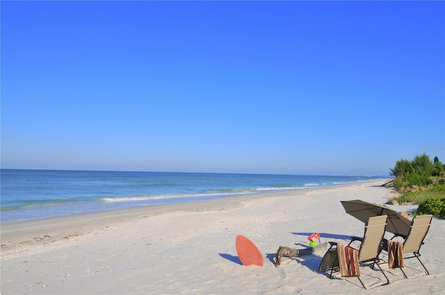 631 N Orange Ave Unit 107, Sarasota, FL 34236 - photo 39