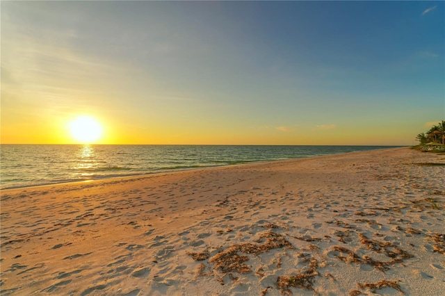 631 N Orange Ave Unit 107, Sarasota, FL 34236 - photo 40