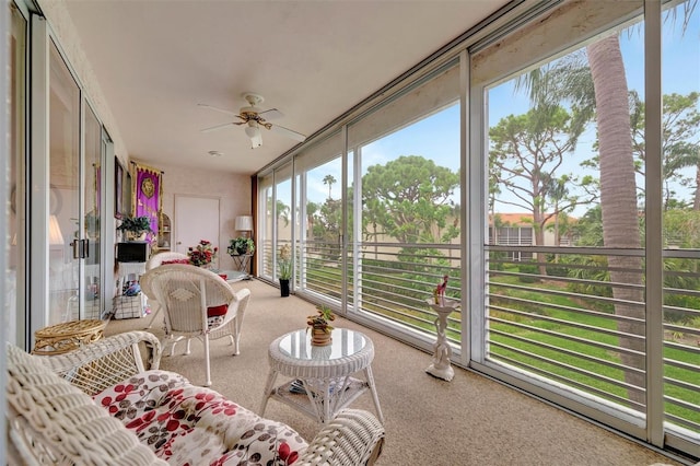 6101 34th St W Unit 24C, Bradenton, FL 34210 - photo 28