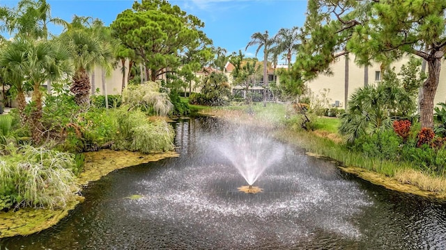 6101 34th St W Unit 24C, Bradenton, FL 34210 - photo 43
