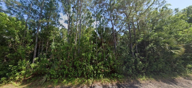 23125 Hammond Ave, Port Charlotte, FL 33954 - photo 4