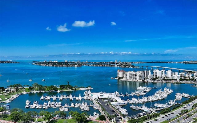 33 S Palm Ave Unit 1601, Sarasota, FL 34236 - photo 50