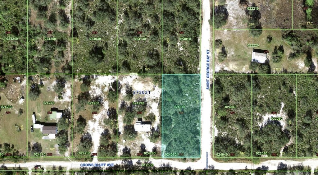 St George Bay St, Lake Wales, FL 33859 - photo 1