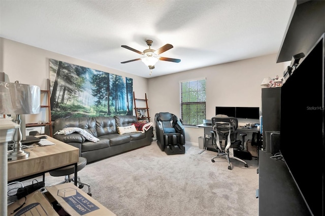 7062 Water Mill St, Palmetto, FL 34221 - photo 13