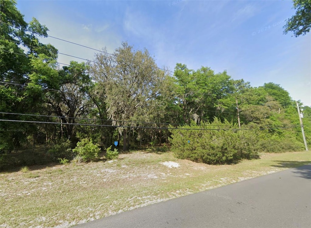 87685 Roses Bluff Rd, Yulee, FL 32097 - photo 2