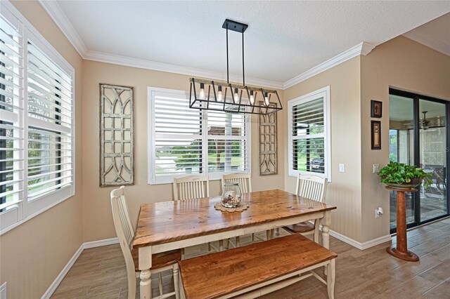 11705 Goldenrod Ave, Bradenton, FL 34212 - photo 18