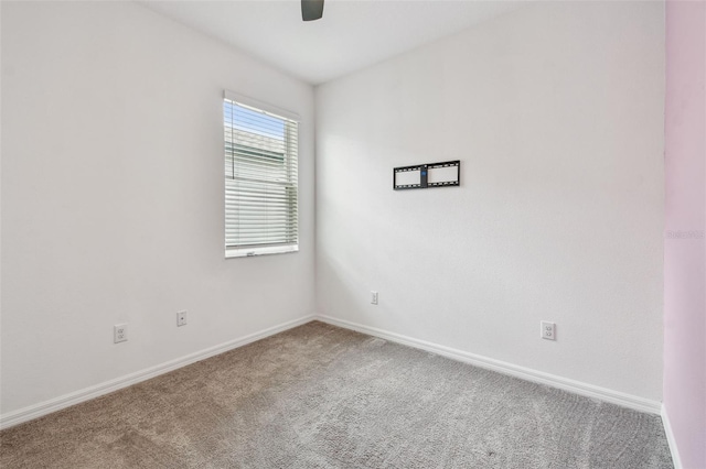8538 Starlight Loop, Parrish, FL 34219 - photo 18