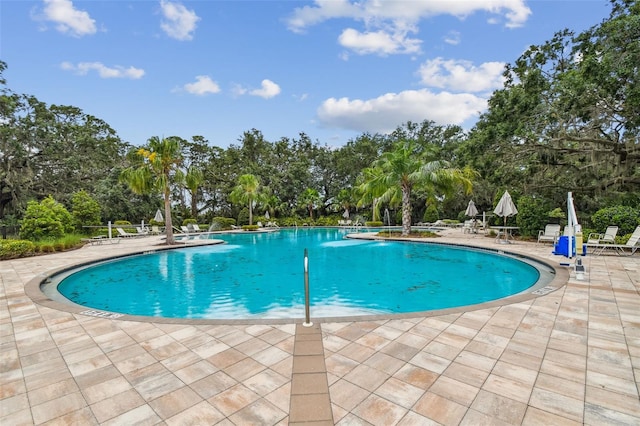 8538 Starlight Loop, Parrish, FL 34219 - photo 33