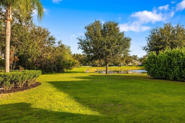 12153 Forest Park Cir, Bradenton, FL 34211 - photo 34